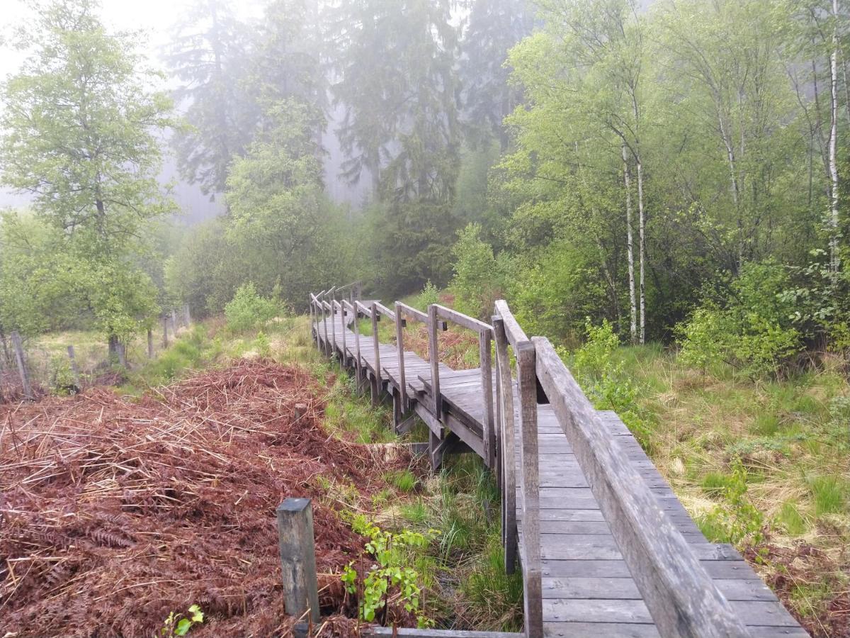 B&B Des4Seigneurs Gedinne Exteriör bild